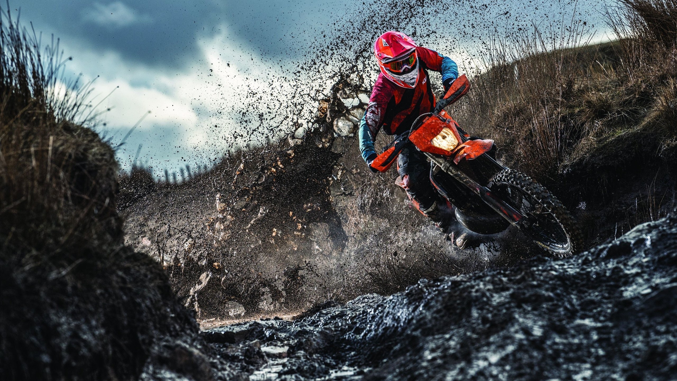 体育赛事未来挑战